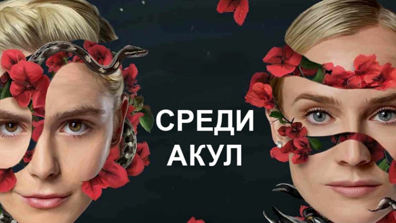 Среди акул