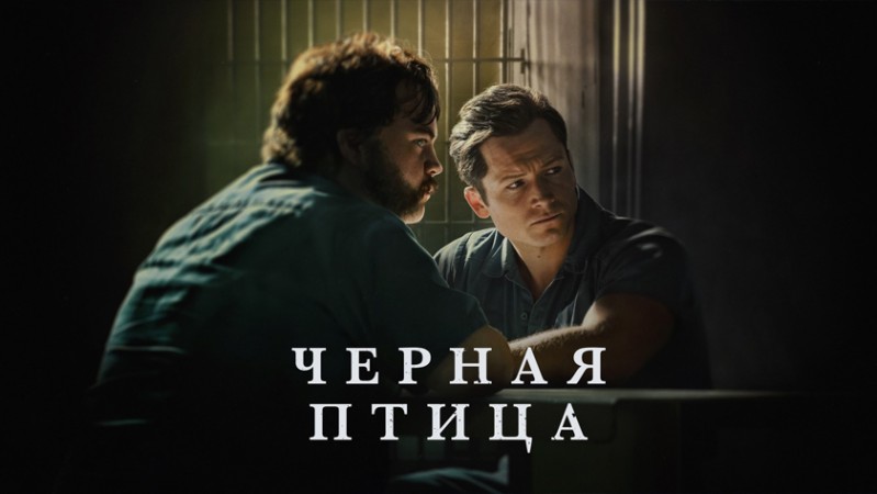 Чёрная птица
